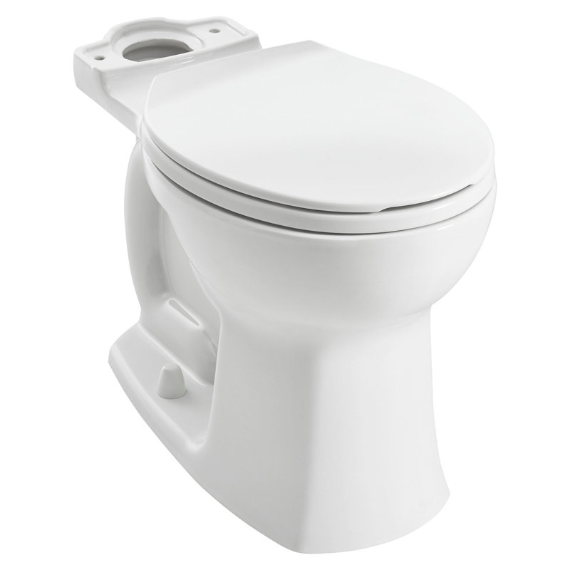 American Standard Edgemere Dual Flush Elongated Toilet Bowl Wayfair.ca